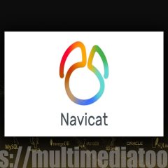 Navicat Premium 17.0.9 MAC