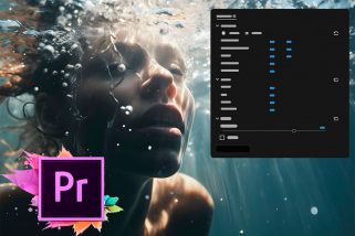 Adobe Premiere Pro 2025 v25-0 WiN